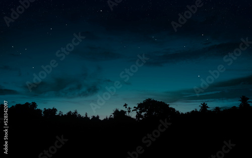 Starry sky at night landscape.