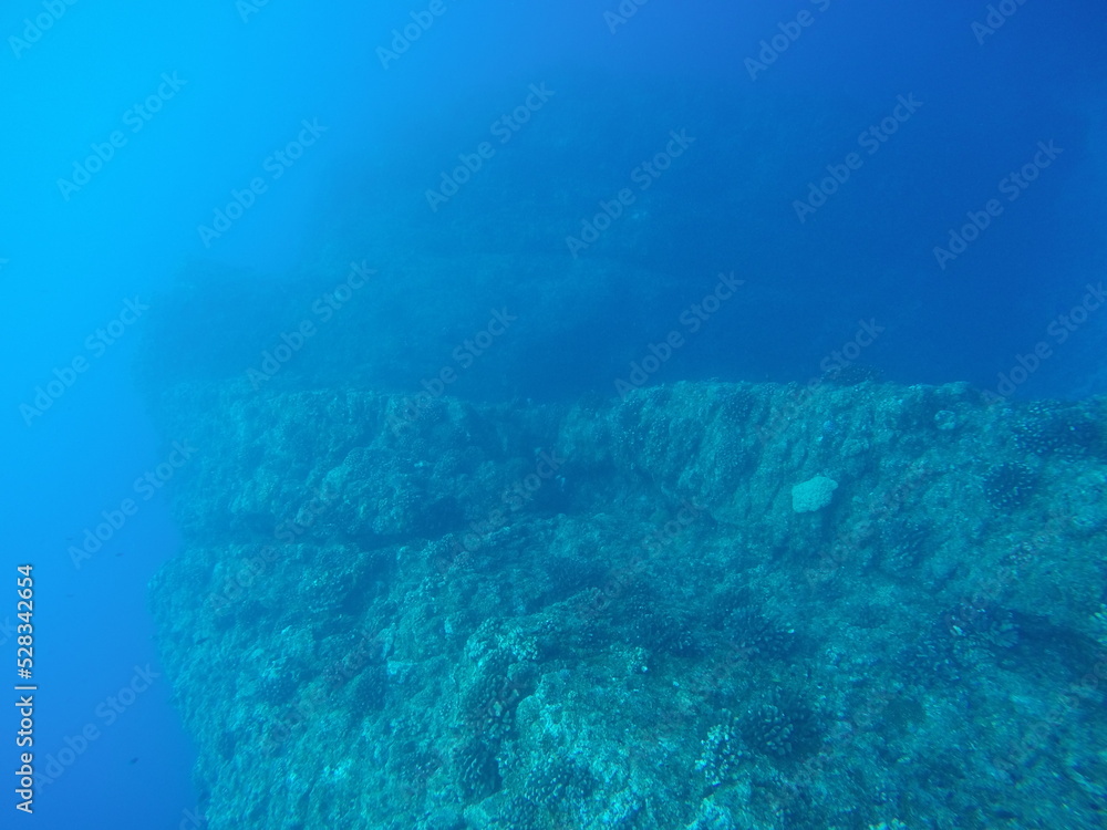 Fototapeta premium Scuba diving at Chichi jima Bonin island, Ogasawara.