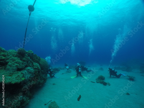 Scuba diving at Chichi jima Bonin island, Ogasawara.