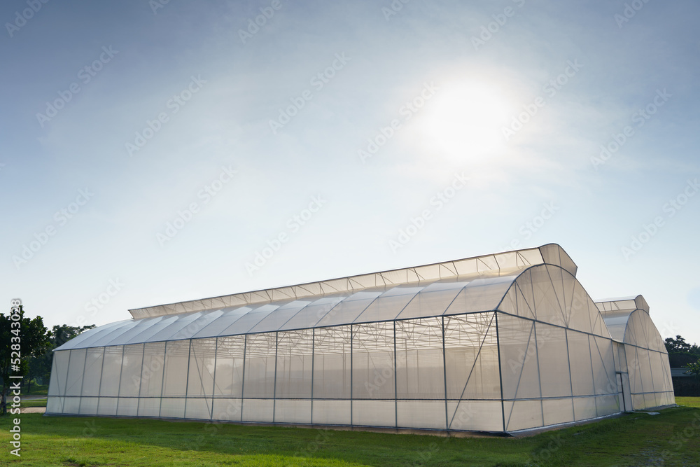 A large greenhouse for growing organic vegetables is located on the green grass outdoors. Can prevent insects from entering and destroying the planted area.organic vegetable concept.