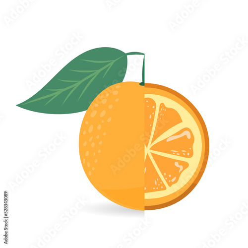 Orange with green leaves  , Illustration 