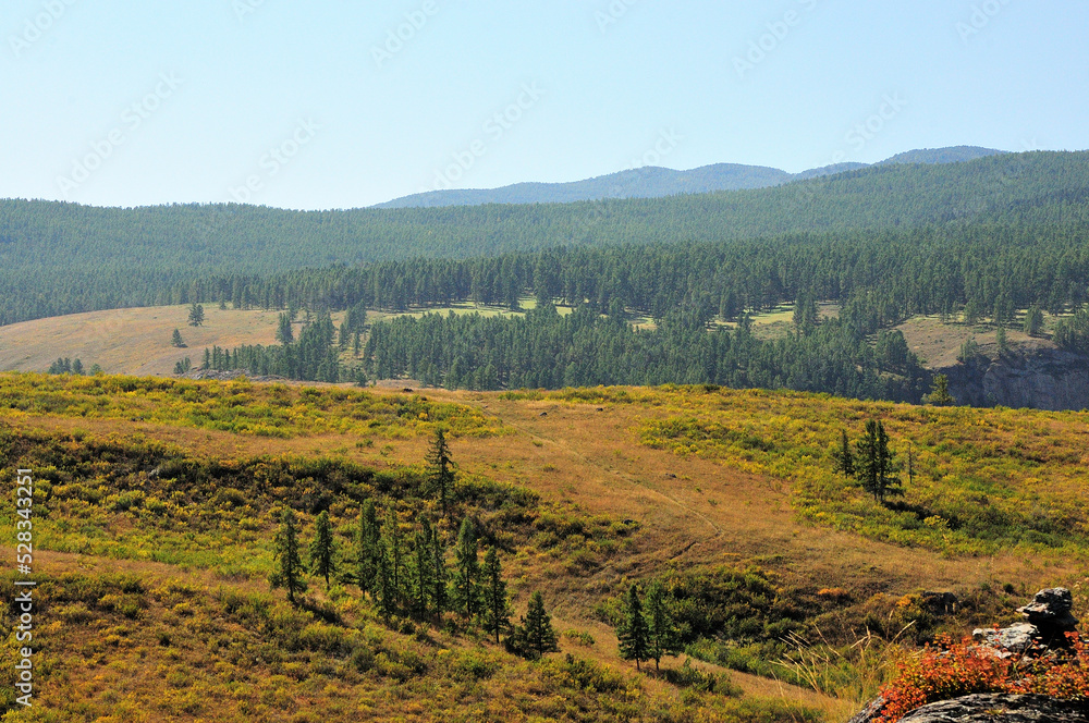 A picturesque mountainous hilly valley flooded with autumn sun and overgrown with coniferous forest.