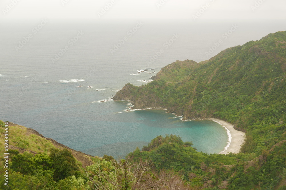 Fototapeta premium World War 2 relics at Chichi jima Bonin island, Ogasawara.