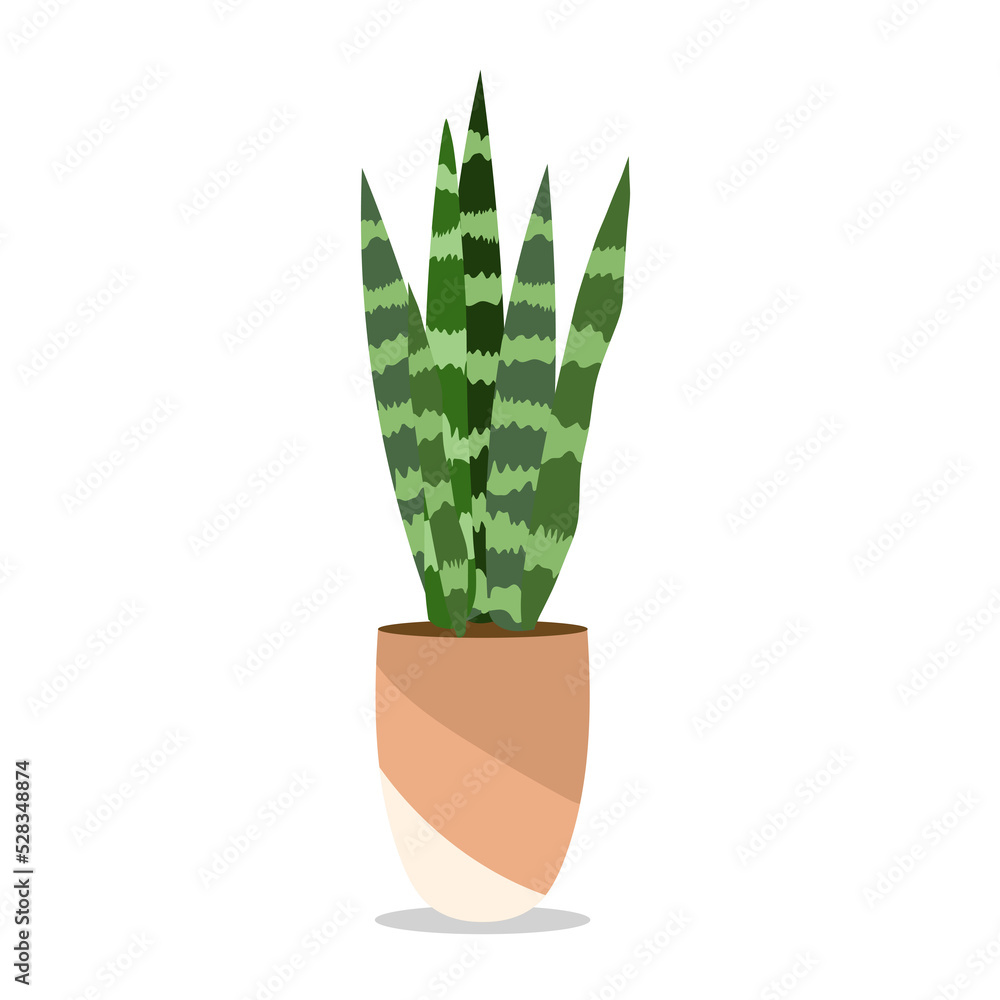 Plants planted in indoor pots to decorate the house isolated background , Flat cartoon flat style. illustration Plants planted in indoor pots to decorate the house isolated background , Flat cartoon flat style. illustration
