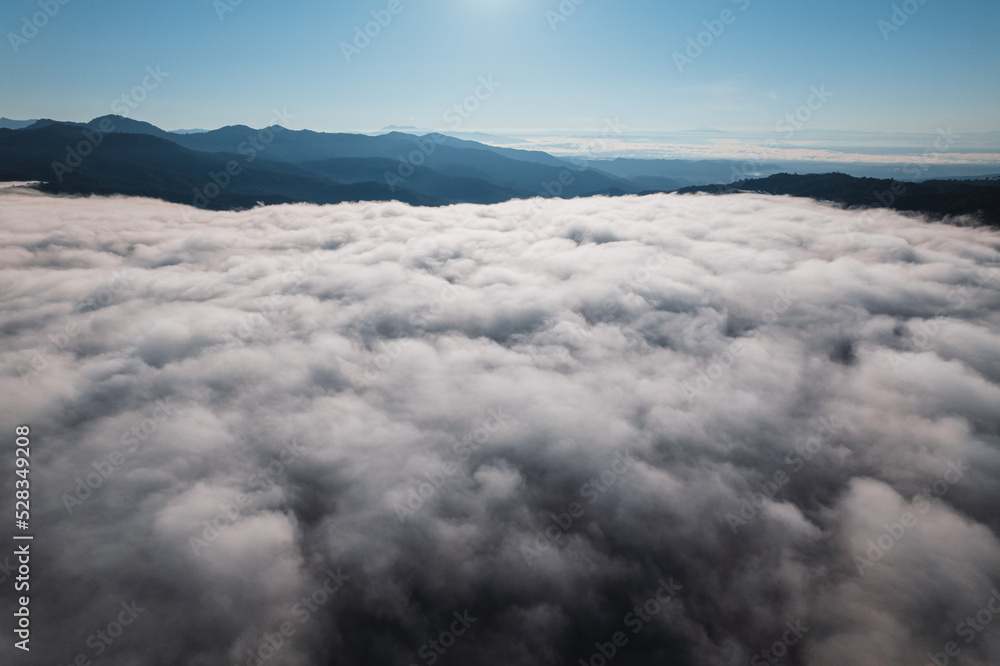 Fog in the mountains at sunrise. Morning fog in the mountains