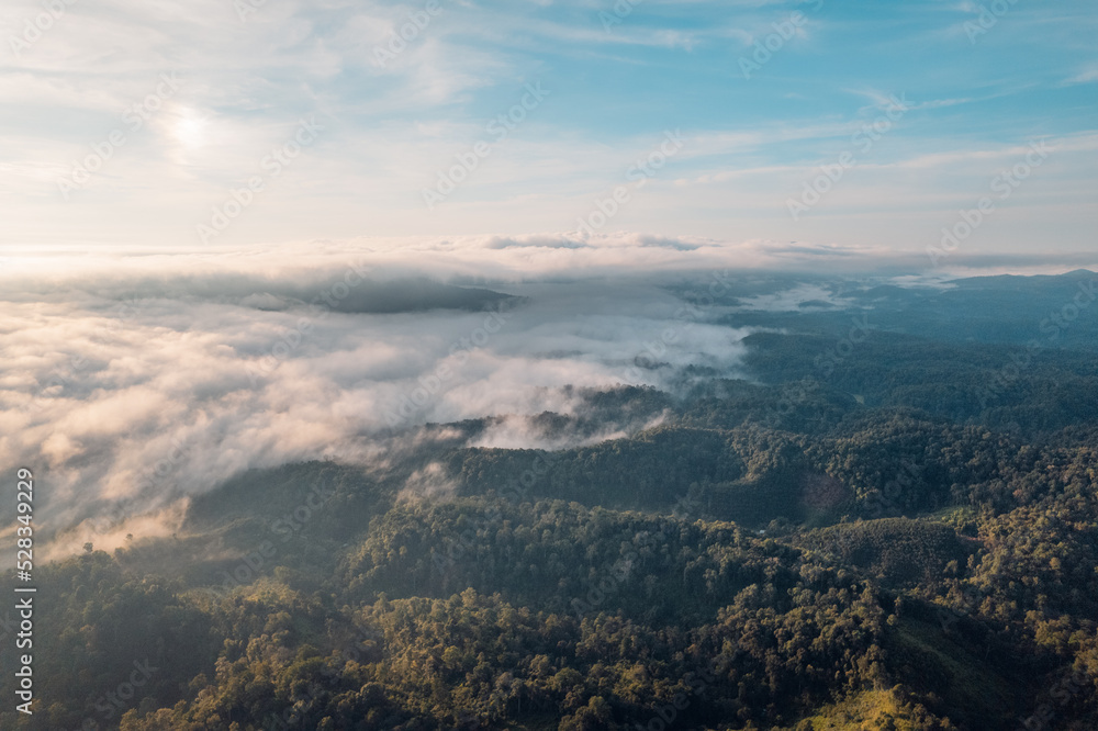 Fog in the mountains at sunrise. Morning fog in the mountains Fog in the mountains at sunrise. Morning fog in the mountains
