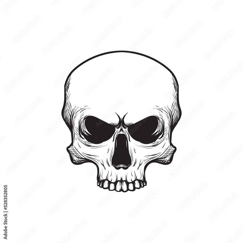 Skull. Skeleton head. engraving style, for illustration, logo, emblem, T shirt, sticker, and more