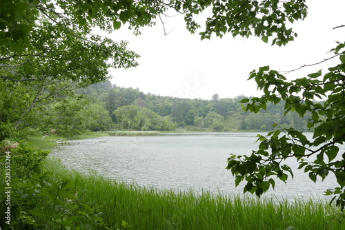 Himenuma swamp Rishiri island at Northern Hokkaido in Japan