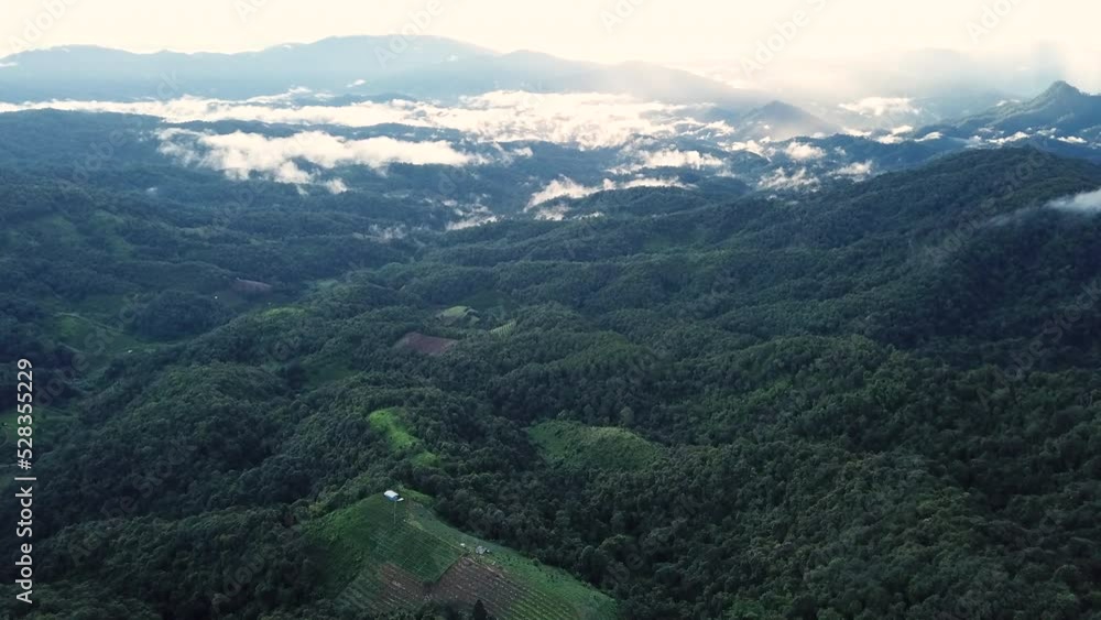 mountain ridge and clouds in rural jungle bush forest. Ban Phahee, Chiang Rai Province, Thailand mountain ridge and clouds in rural jungle bush forest. Ban Phahee, Chiang Rai Province, Thailand