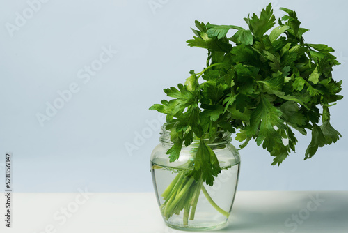 Parsley greens with a gentle abstract background