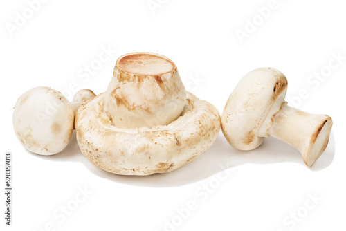 Three champignon mushrooms on a white background
