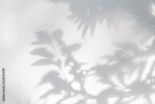 Leaf shadow and light nature tropical background. Natural leaves tree branch and plant shadows with sunlight dappled on white wall. Shadow overlay effect for foliage mockup