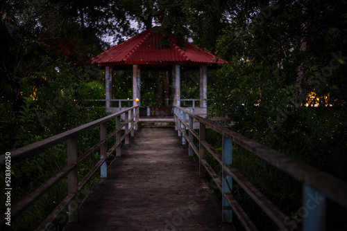 Wallpaper Mural Firefly flying in the forest. Fireflies in the bush at night Torontodigital.ca