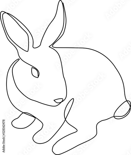 Line Drawing Rabbit photo