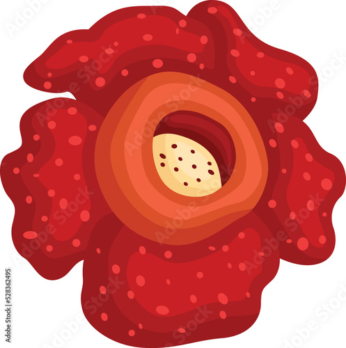 a vector of the rafflesia arnoldii flower photo