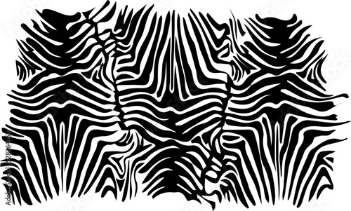 zebra skin abstract background african safari vector pattern