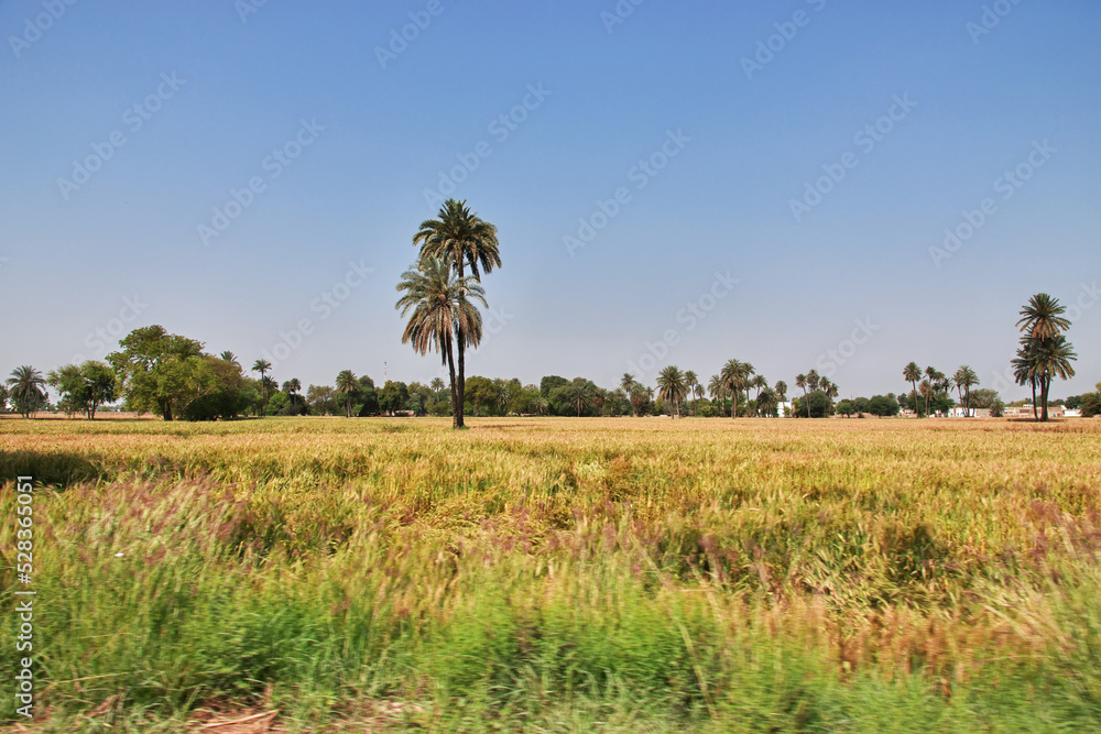 A village close Derawar fort in Punjab province, Pakistan
