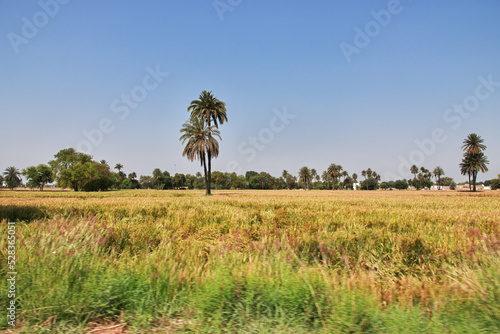 Obraz na płótnie A village close Derawar fort in Punjab province, Pakistan w salonie