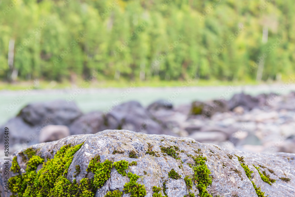 Scenic nature background with beautiful mossy boulder on bank of river on green forest background. Scenic nature background with beautiful mossy boulder on bank of river on green forest background.