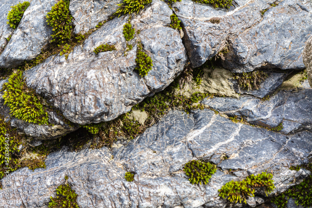 Moss on a rock face. Relief and texture of stone with patterns and moss. Stone natural background. Moss on a rock face. Relief and texture of stone with patterns and moss. Stone natural background.
