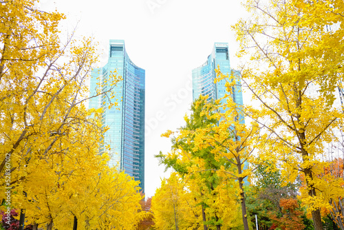 Photography Autumn in the park
