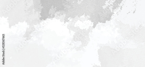 abstract white grunge background vector, white ice texture background