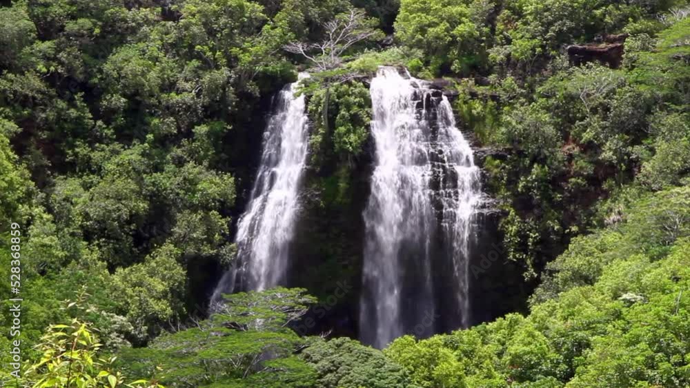 Lockdown Beautiful View Of Waterfall Amidst Green Plants In Forest On Mountains - Kauai, Hawaii Lockdown Beautiful View Of Waterfall Amidst Green Plants In Forest On Mountains - Kauai, Hawaii