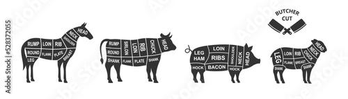 Set of farm animals scheme cuts. Butcher diagram poster. Pig, Horse, Sheep, Cow cuts of meats. Meat diagram scheme illustration