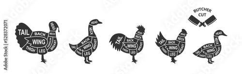 Set of farm birds scheme cuts. Butcher diagram poster. Turkey, Chicken, Rooster, Duck, Goose cuts of meats. Meat diagram scheme illustration