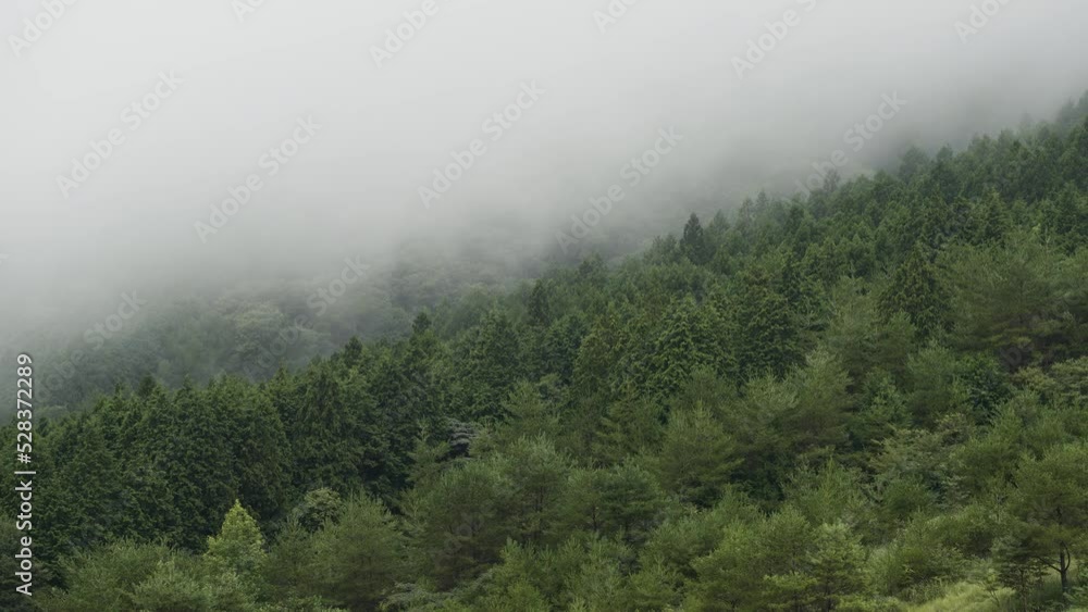 山の頂上で雲が幻想的に流れて行く 山の頂上で雲が幻想的に流れて行く