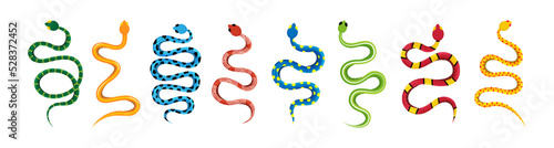 Set of colored snakes. Wild poisonous rattlesnakes. Tropical toxic reptile illustration. Dangerous exotic snakes. Hand drawn vector illustration.