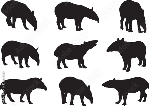 tapir silhouette photo