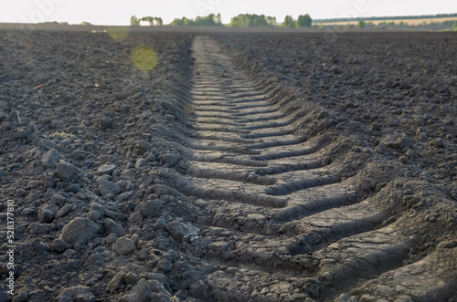Tyre track on land