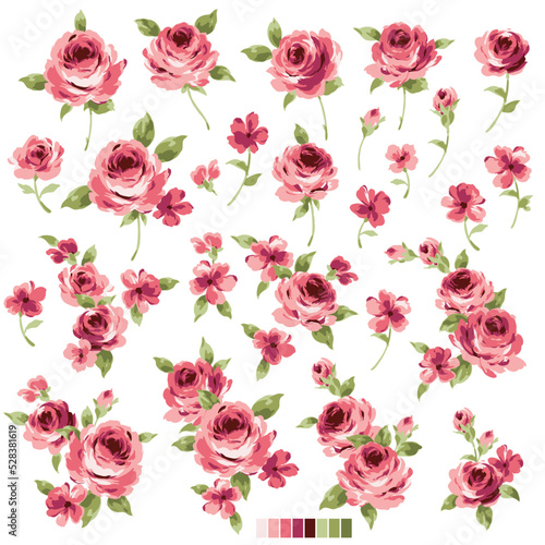 Beautiful flower illustration material collection,