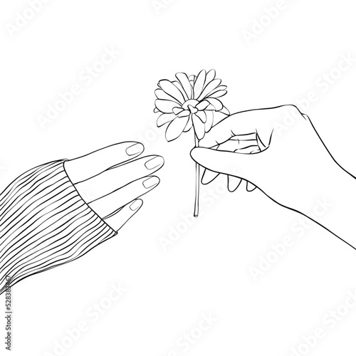  Vector drawing of hands. The hand will hold a flower in your hand to give it to another person. Suitable for shooting, banner, or postcard