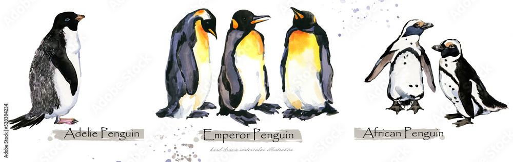 Fototapeta premium Penguin group isolated on white watercolor illustration