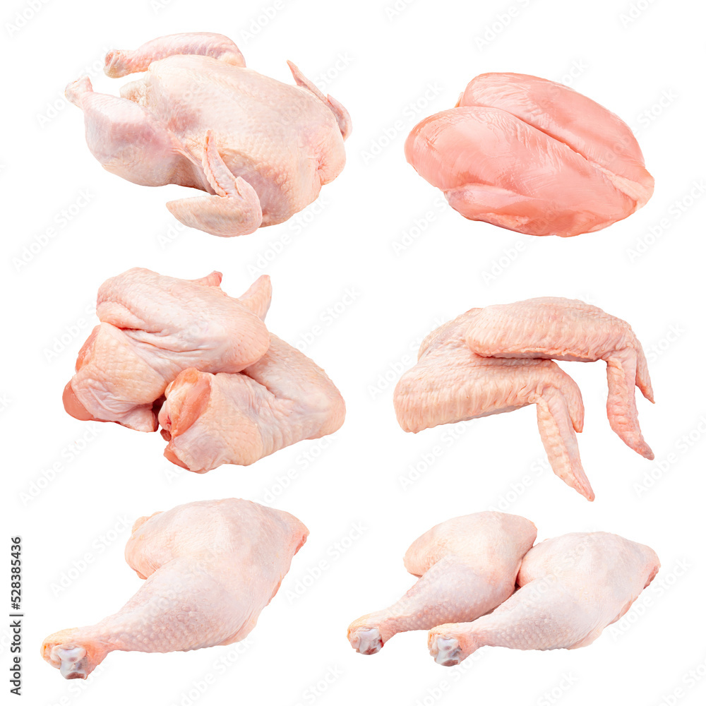 Isolated whole raw chicken parts collage png Stock Photo Adobe Stock