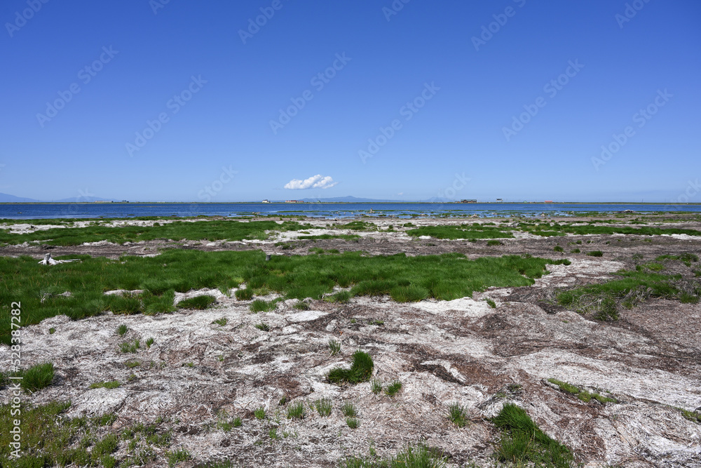 【北海道】トドワラの風景 Stock Photo Adobe Stock