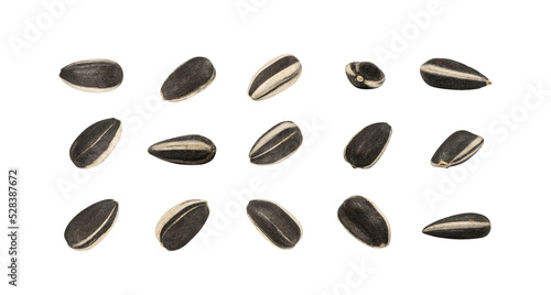 Sunflower Seeds Set, Striped Raw Seeds Collection Isolated