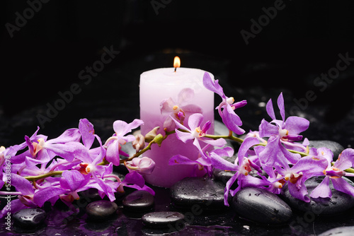 spa still life of with  branch  orchid  candle  and zen black stones wet background 