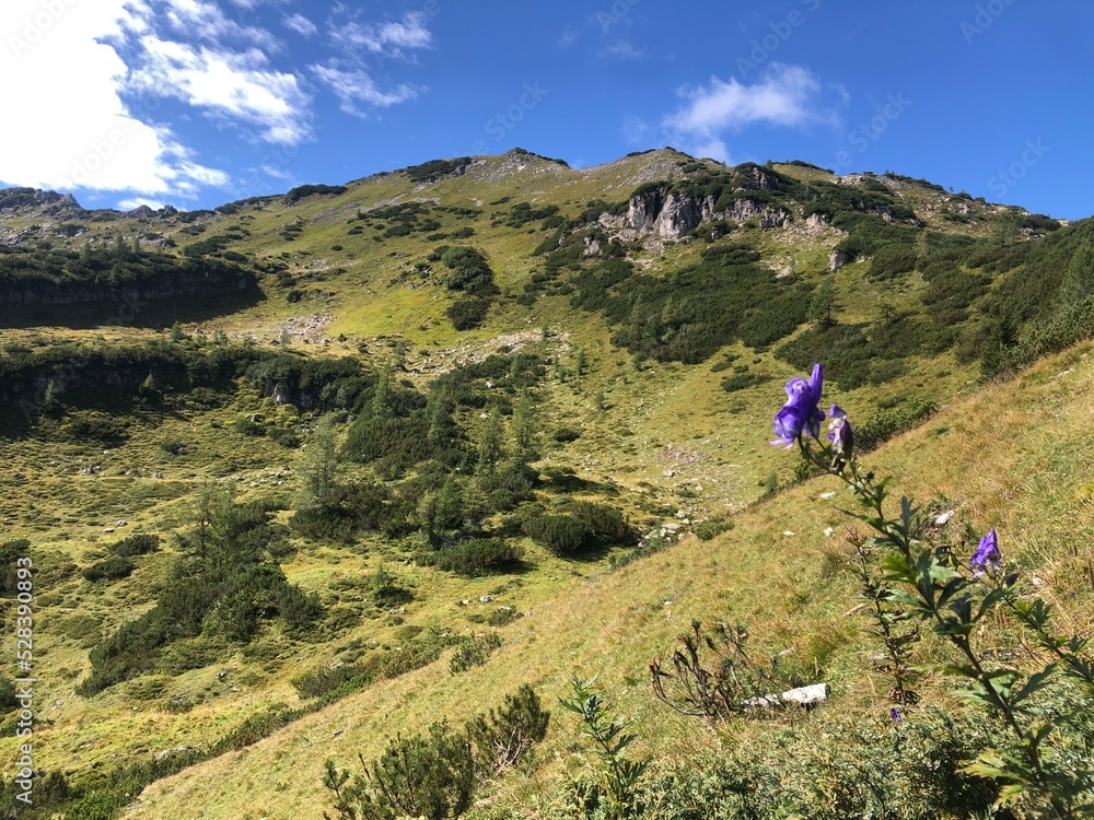 Obraz premium Wanderung Zauchensee