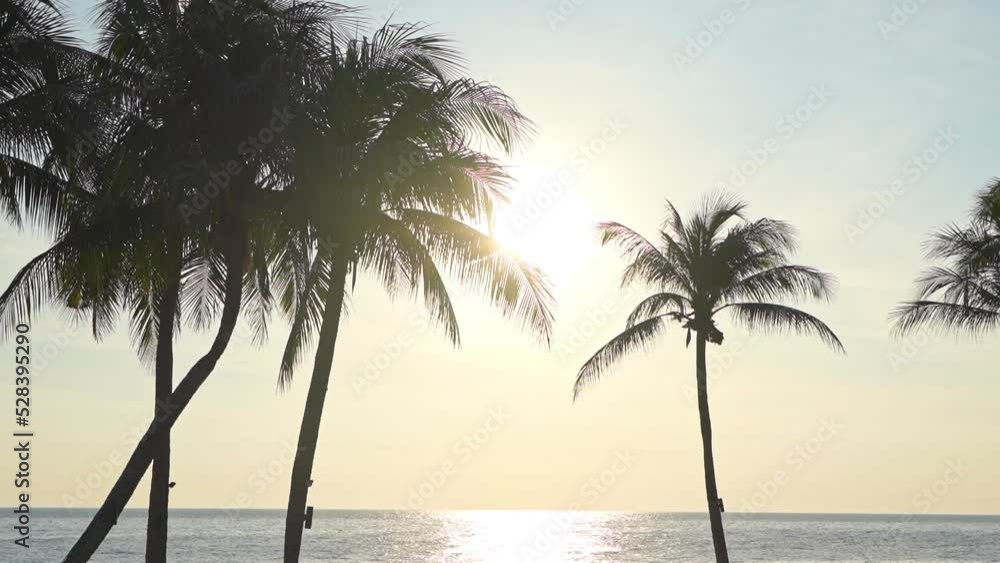 Tropical Beach on Golden Hour Sunlight, Trees and Caribbean Sea Horizon Tropical Beach on Golden Hour Sunlight, Trees and Caribbean Sea Horizon
