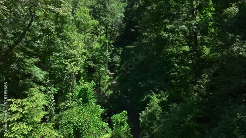 Mountain hike near the Amicalola Fall in Dawsonville, Georgia photo