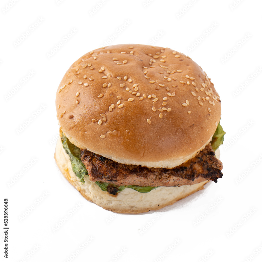 Fresh tasty burger isolated on white background. Fresh tasty burger isolated on white background.