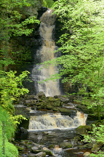 Mill Gill Force near Askrigg in Wensleydale photo