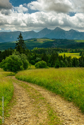 Fototapeta Naklejka Na Ścianę i Meble -  Countryside road in Tatras Mountains in Poland at summer
