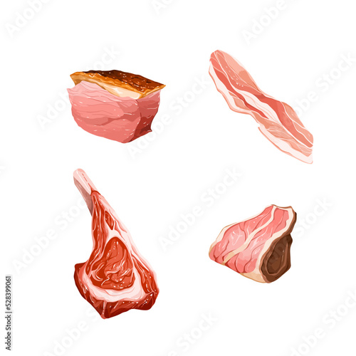 Set different cuts of meats vector illustration isolated on white background.
