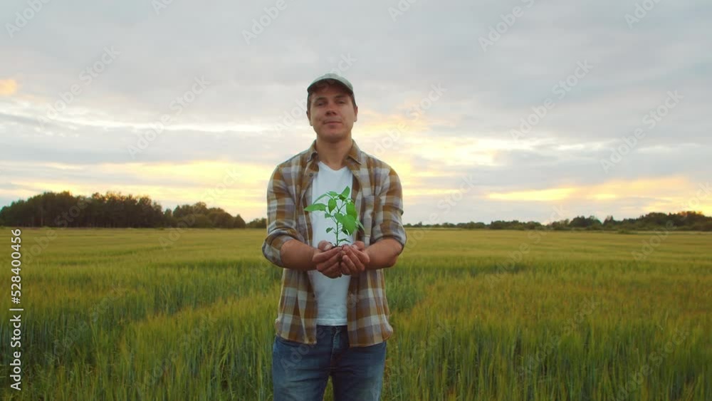 Farmer holding green plant in his hands in front of a sunset agricultural landscape. Man in a countryside field. Ecology, food production, farming and country lifestyle concept. Farmer holding green plant in his hands in front of a sunset agricultural landscape. Man in a countryside field. Ecology, food production, farming and country lifestyle concept.