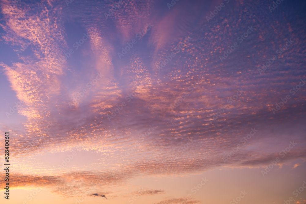 Fototapeta premium Dramatic sky with cirrocumulus clouds in the sunset