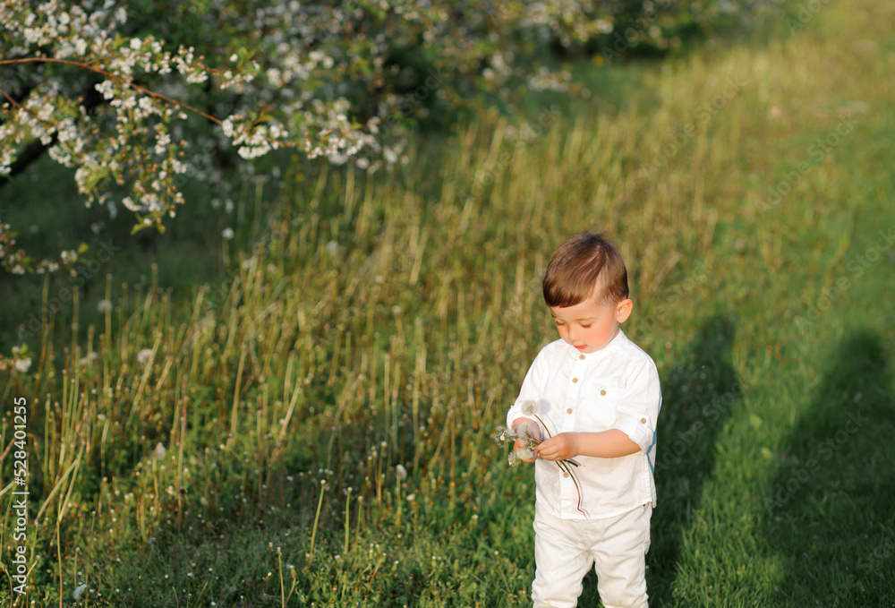 Happy little boy walking in spring garden. Happy little boy walking in spring garden.